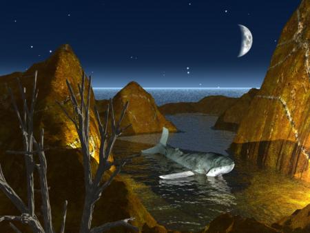 BALEINE